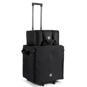 LD Systems - DAVE 10 G4X Bag Set