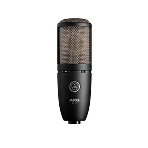 AKG - P220