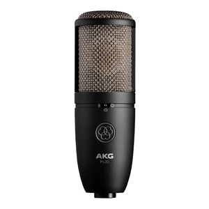 AKG - P420