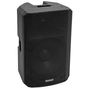 OMNITRONIC VFM-215 MK2 2-Way Speaker