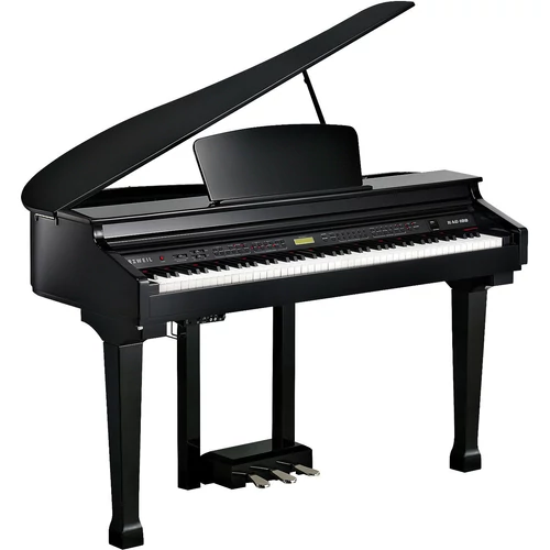 Kurzweil KAG100 Ebony Polish