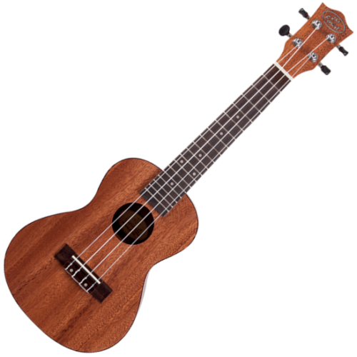 JM Forest - BC210 EQ concert ukulele, szemből