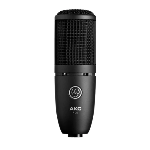 AKG - P120