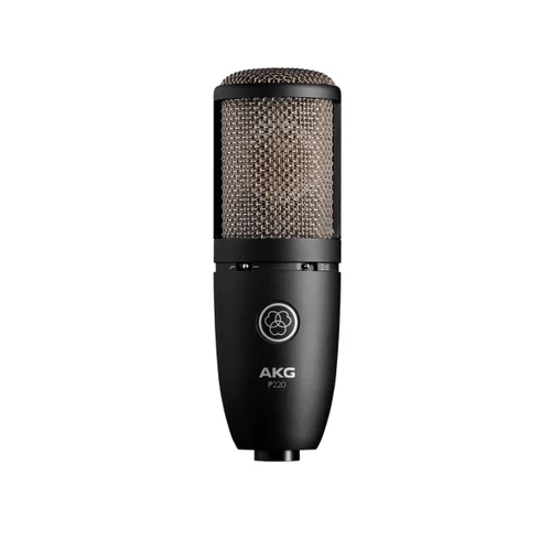 AKG - P220