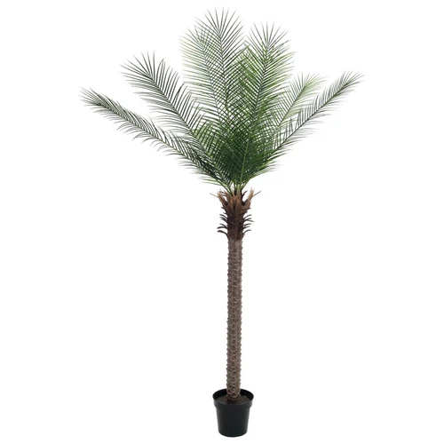 EUROPALMS - Főnix pálma 220cm