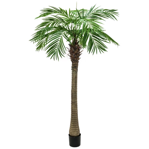 EUROPALMS - Főnix pálma luxor 150cm