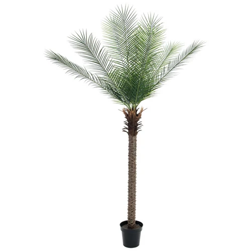 EUROPALMS - Főnix pálma 220cm