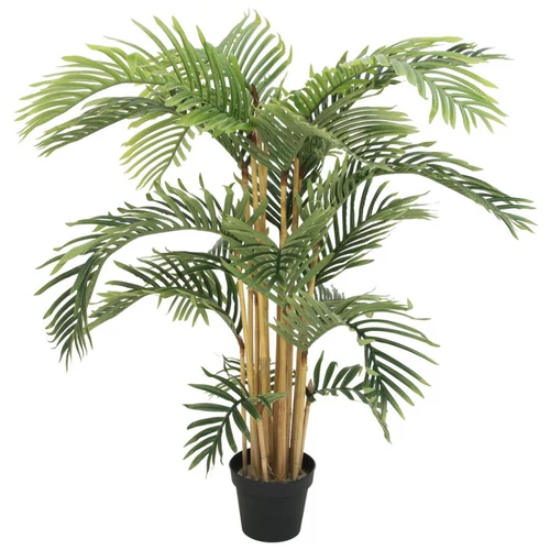 EUROPALMS - Kentia pálma 140cm