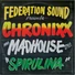 Kép 2/3 - Serato - Control Vinyl - 2x7" Chronixx Spirulina