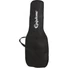 Kép 6/6 - Epiphone - Disc Special II VS Player Pack gitárkészlet