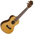 Kép 2/5 - Prodipe - BC420 concert ukulele tokkal