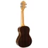 Kép 4/5 - Prodipe - BC420 concert ukulele tokkal