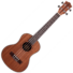 Kép 1/2 - JM Forest - BT3 tenor ukulele, szemből
