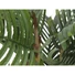 Kép 3/5 - EUROPALMS - Kentia pálma 140cm