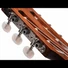 Kép 12/12 - Cort - Co-JADE-E-Nylon-BRB klasszikus Lady-gitár elektronikával bordó burst