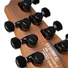 Kép 20/20 - Cort - Co-KX707-Evertune-OPBK with bag 7 húros elektromos gitár tokkal, Evertune, fekete