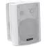 Kép 1/4 - OMNITRONIC - WP-5W PA wall speaker szemből