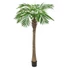 Kép 1/8 - EUROPALMS - Főnix pálma luxor 240cm