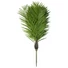 Kép 2/8 - EUROPALMS - Főnix pálma luxor 300cm