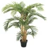 Kép 1/8 - EUROPALMS - Kentia pálma 140cm