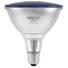 Kép 1/2 - OMNILUX PAR-38 230V SMD 15W E-27 LED blue