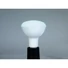 Kép 3/4 - OMNILUX LED PAR-30 RGB/WW/CW WiFi